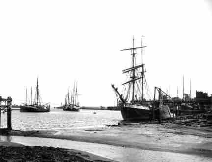 Picture of Amble, Ships in the Harbour