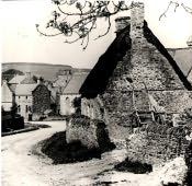 Allendale, Thatched House - Click for bigger image