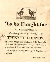 Advertisement for Cock Fighting at Longhorsley - Click for bigger image