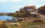 Craster, Harbour View