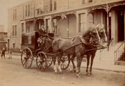 Picture of Amble, Horse Carriage in Dilston Terrace