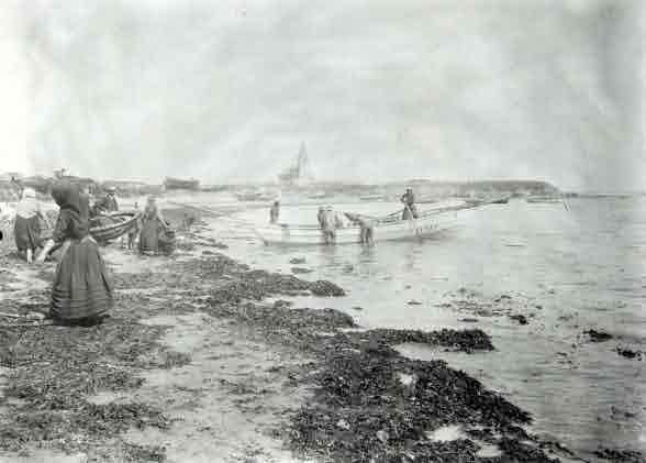 Picture of Newbiggin-by-the-Sea, Launching a Coble