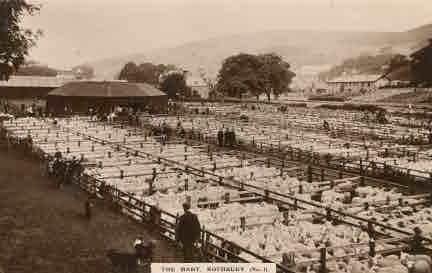 Picture of Rothbury Mart