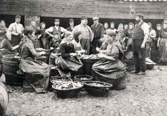 Picture of Seahouses, Splitting Herring