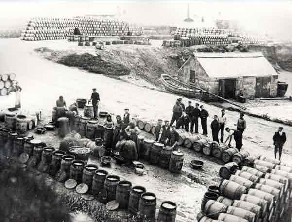 Picture of Seahouses, Packing Herring