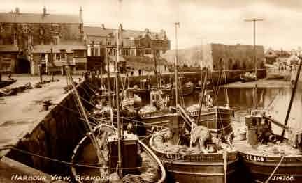 Picture of Seahouses, Harbour and Cobles