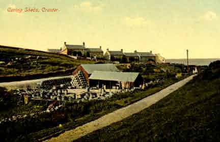 Picture of Craster, Curing Shiels