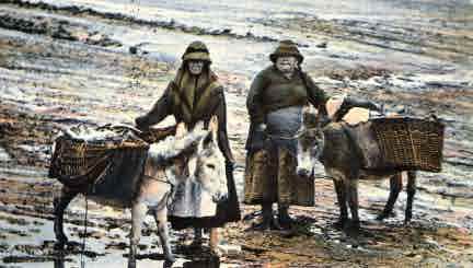 Picture of Holy Island, Fisherwomen