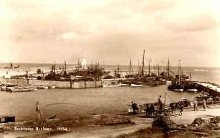 Picture of Seahouses, Harbour View