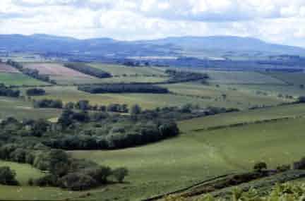 Picture of Milfield Plain