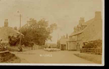 Picture of Milfield, Village View