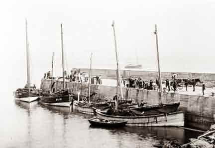 Picture of Craster, Fishing Boats in Harbour