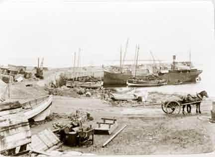 Picture of Craster, Boats in the Harbour
