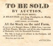 Sale by Auction at Healy-Coat Farm - Click for bigger image