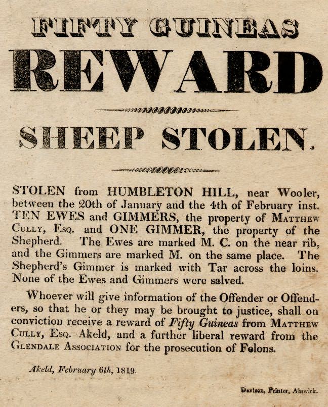 Picture of Sheep Stealing Notice