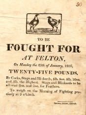 Advertisement for Cock Fighting - Click for bigger image