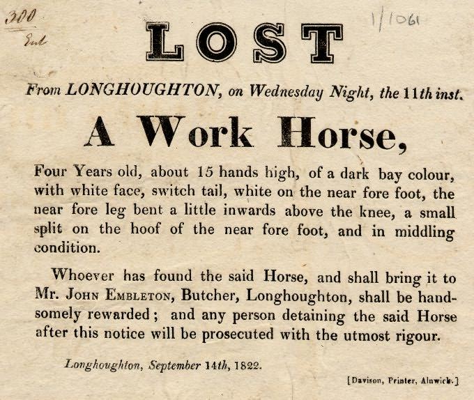 Picture of Reward for Lost Horse, Longhoughton