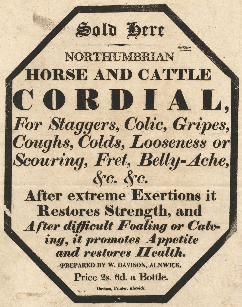 Picture of Handbill for Horse and Cattle Cure