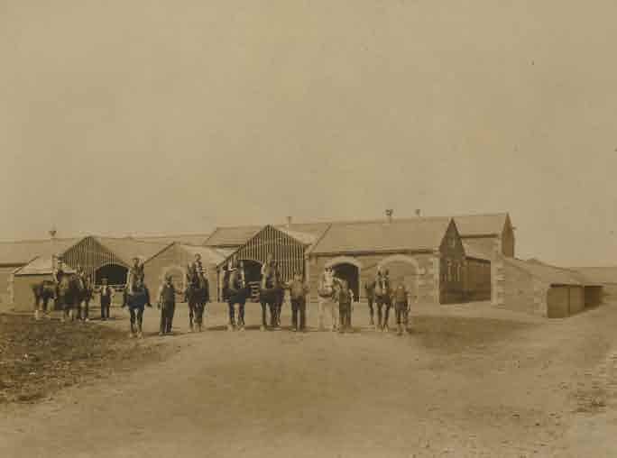 Picture of Nedderton, Reformatory Farm Buildings