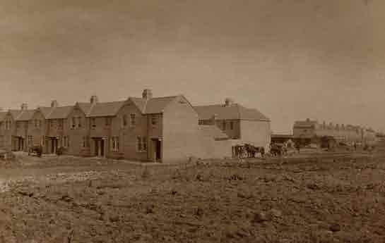 Picture of Lynemouth, New Housing