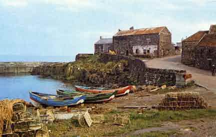 Picture of Craster, Harbour View