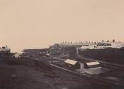 Craster, View of Craster Harbour - Click for bigger image