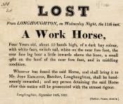 Reward for Lost Horse, Longhoughton - Click for bigger image